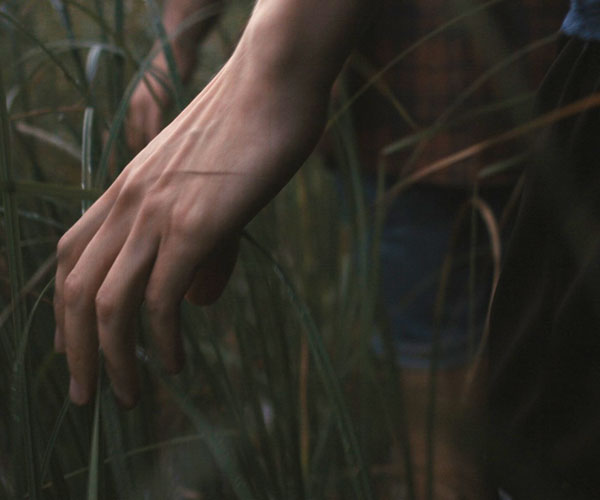 Film Still DIE HÜTTE AM SEE – A MOMENT IN THE REEDS, eine schwule Romanze zwischen einem Finnen und einem syrischen Flüchtling von Filmemacher Mikko Makela mit  Janne Puustinen, Boodi Kabbani und Mika Melender; eine Hand streicht durch hohes Gras